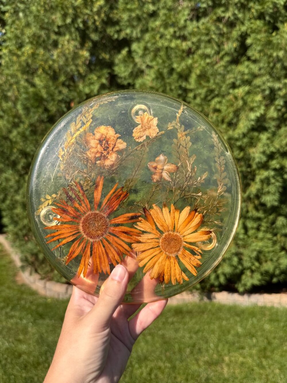 Vintage Pressed Flower Lucite Trivet